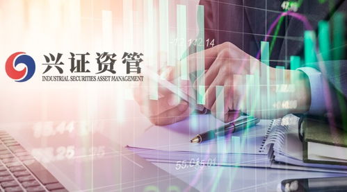 興證資管首只公募化產(chǎn)品起航 自有資金跟投與全員參與下的投資風(fēng)格解析